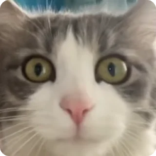 😐