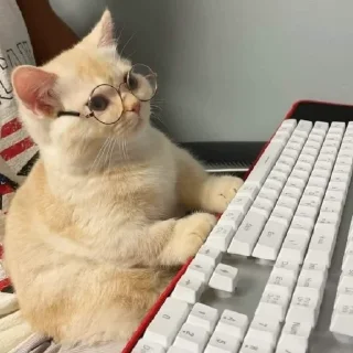 🤓