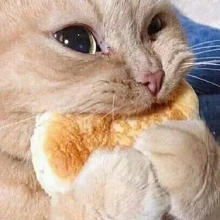 🥞