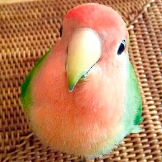 😊