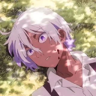 Мемуары ванитаса @anime_stickerr