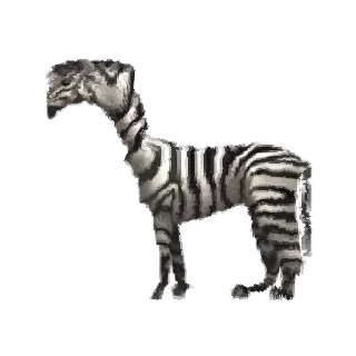 🦓