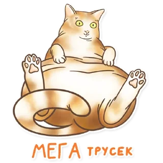 🥹
