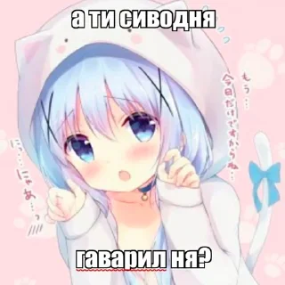 😻