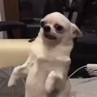 😕