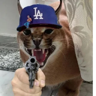 🤛