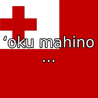 🇹🇴