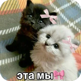 ❤