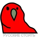 😂