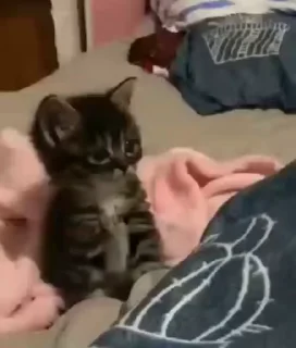 😩