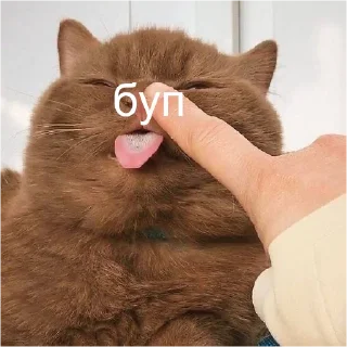 👈