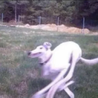 🤪