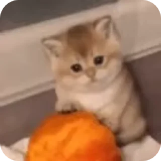 😔