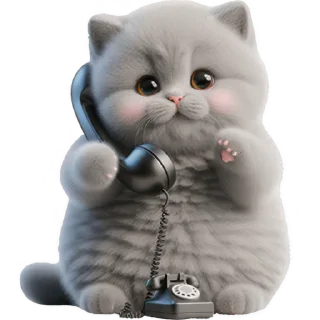 📞