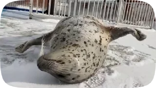 🤪