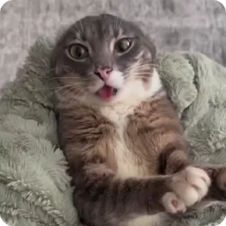 🤯