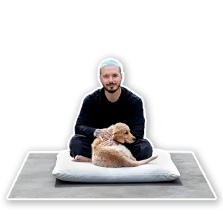🐶