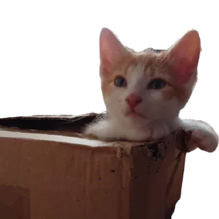 📦