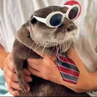 😎