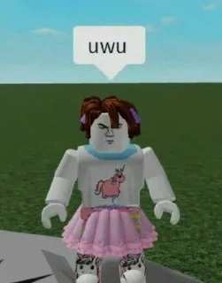 🌟