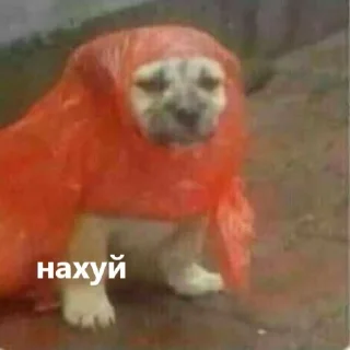 😭