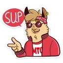 😎