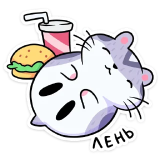 💤