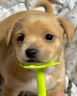 😊