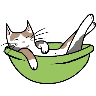 😴
