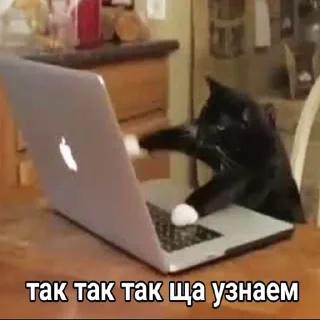 👨‍💻