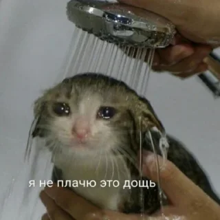 😭