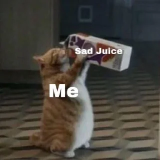 🐱