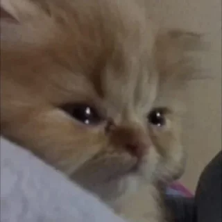 😞