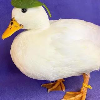😐