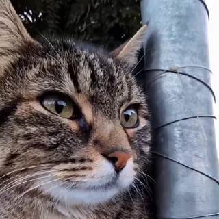 😍