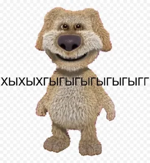 🐶