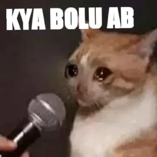 😂