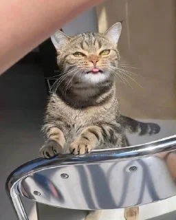 😝