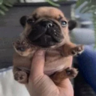 😳
