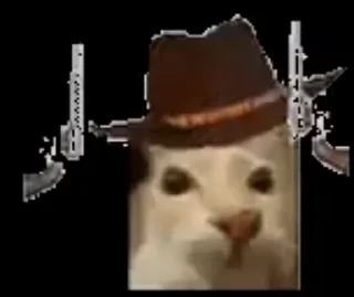 🤠