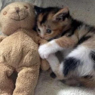🥺