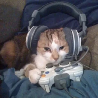 🐈