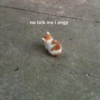 🐈