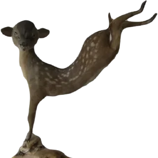 🦌