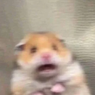 😧
