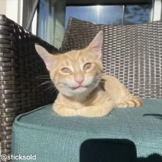 😡