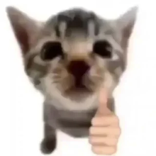 👍
