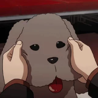 🐶