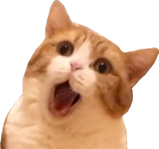 😨