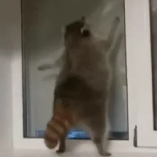 🤩